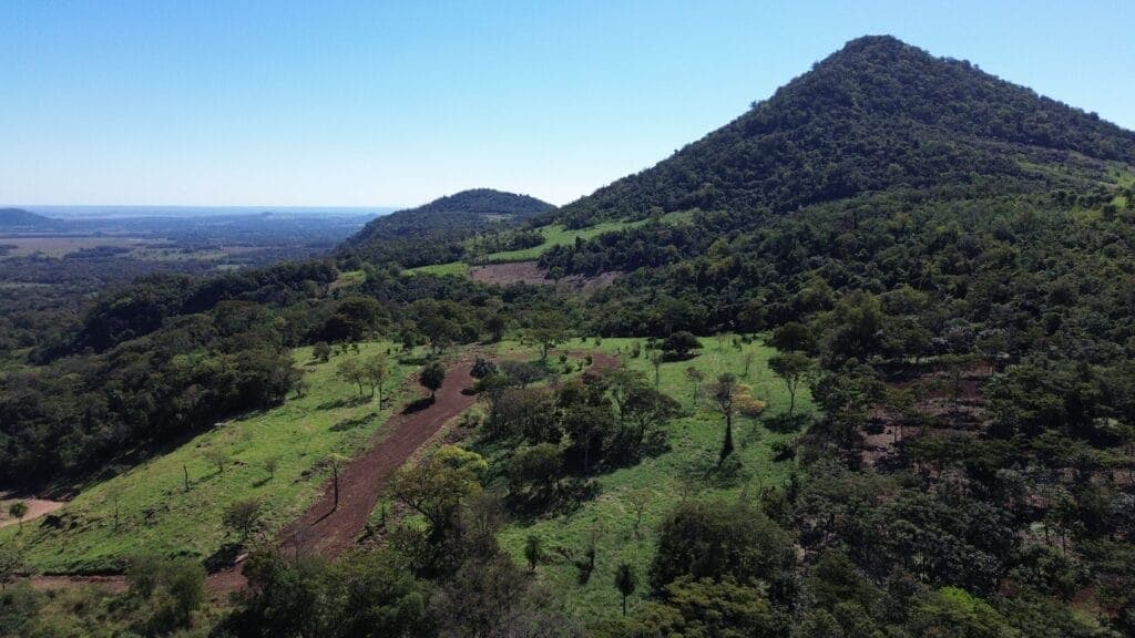Geringe Bürokratie und Regulation