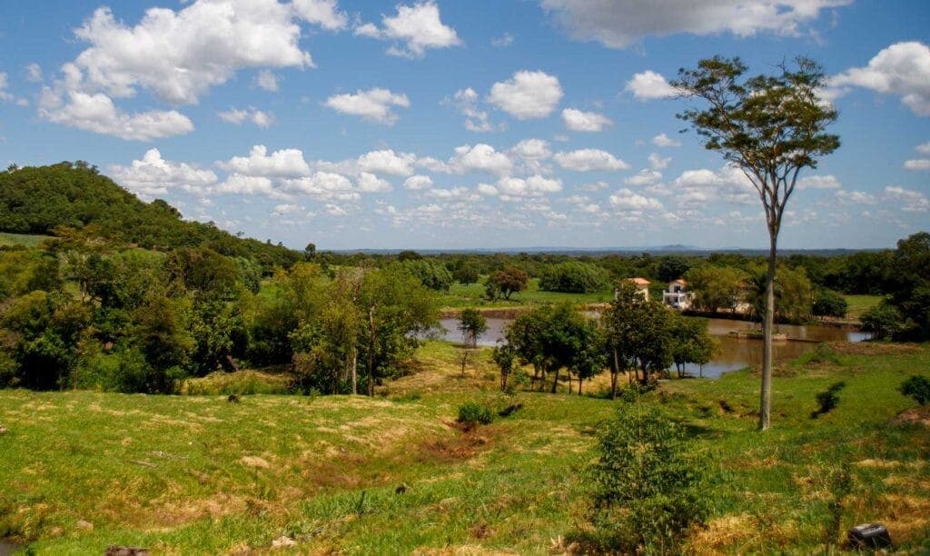 Gemeinschaft und Unterstützung